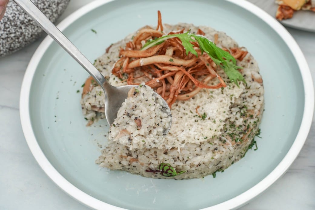 貓禾景觀咖啡｜桃園乳姑山夜景餐廳，貓禾咖啡山上的玻璃泡泡屋景觀咖啡廳， 180度景觀遠眺101，百萬夜景超迷人，約會景點