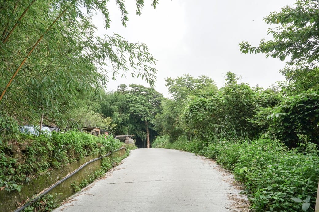 苗栗泰安竹林秘境，苗栗泰安竹林秘境烏嘎彥竹林，秒到日本京都嵐山，停車資訊