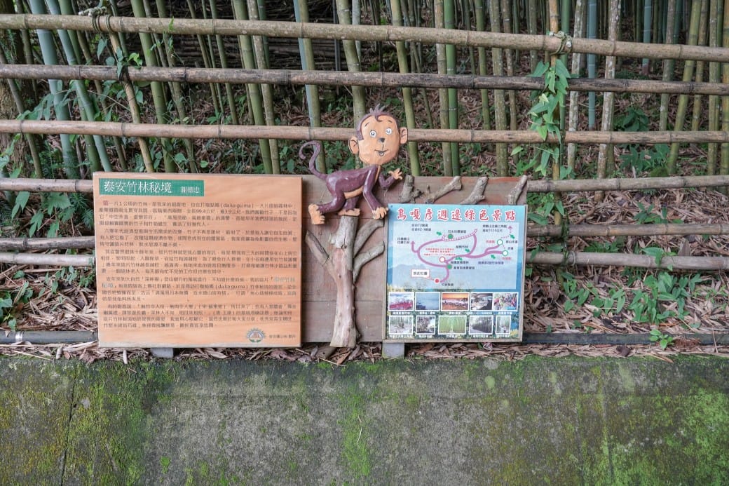 苗栗泰安竹林秘境，苗栗泰安竹林秘境烏嘎彥竹林，秒到日本京都嵐山，停車資訊