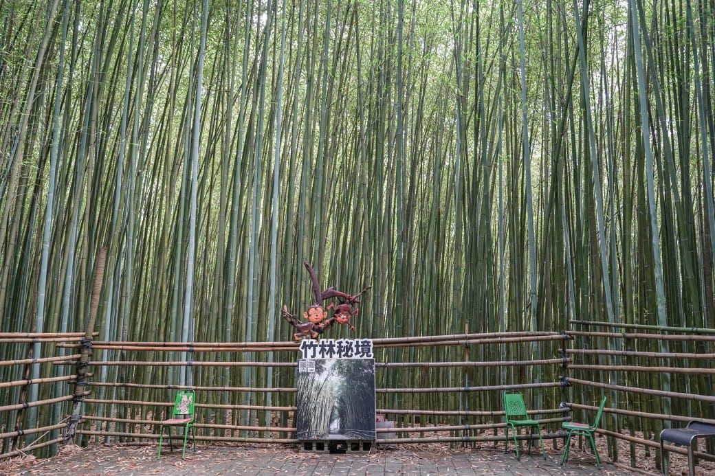 苗栗泰安竹林秘境，苗栗泰安竹林秘境烏嘎彥竹林，秒到日本京都嵐山，停車資訊