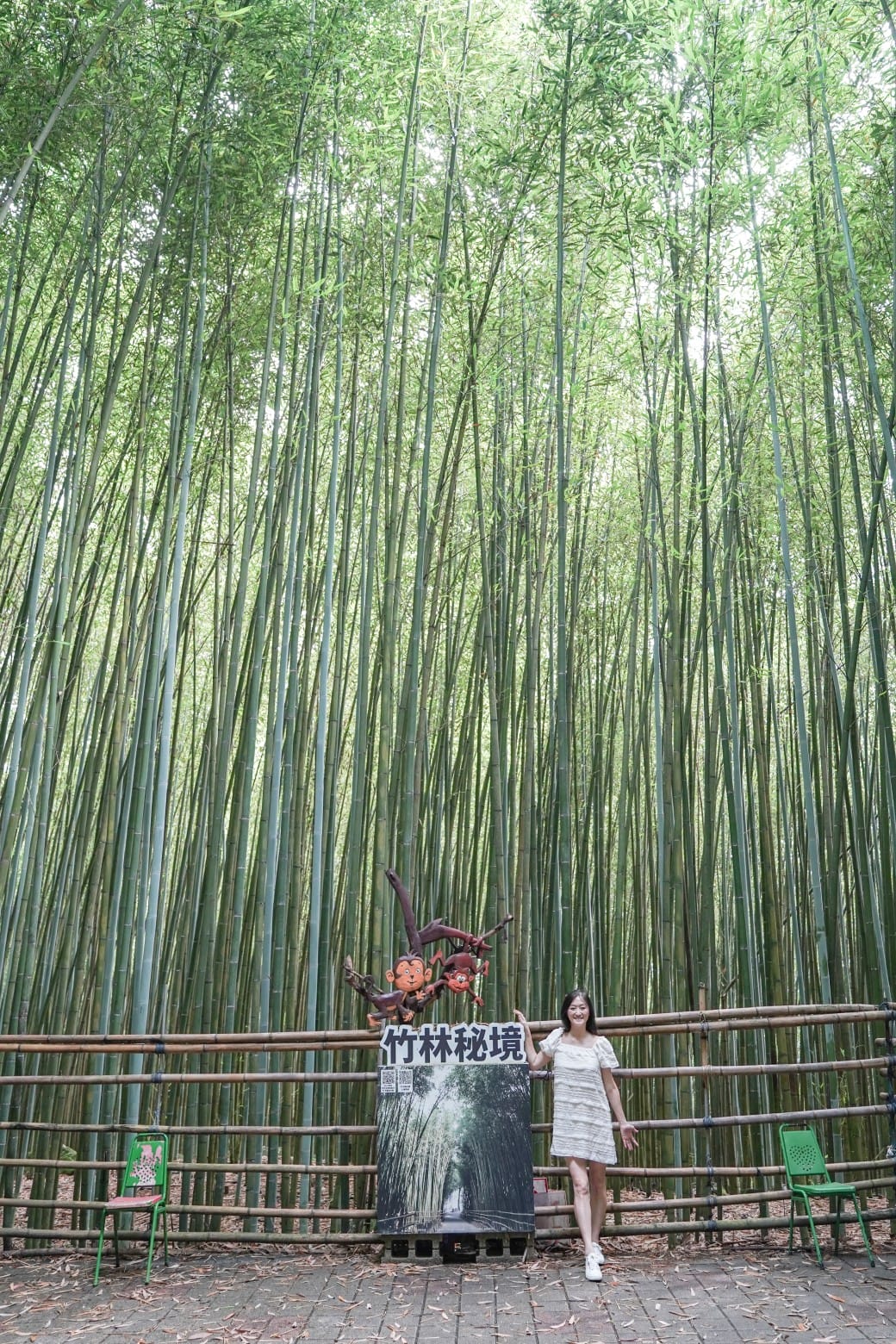苗栗泰安竹林秘境，苗栗泰安竹林秘境烏嘎彥竹林，秒到日本京都嵐山，停車資訊