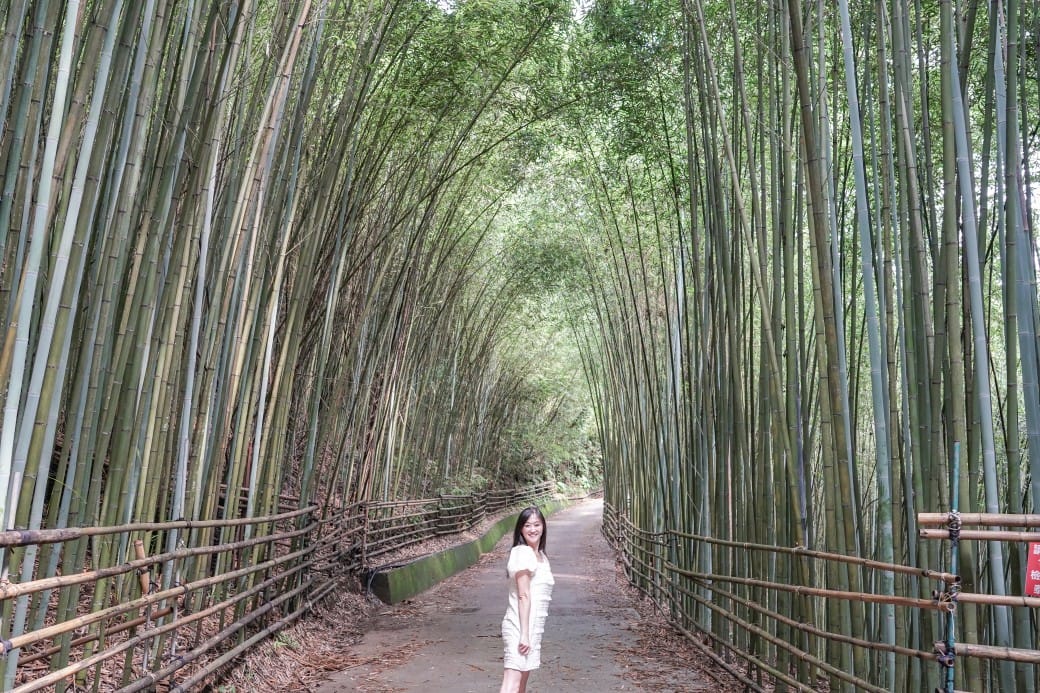苗栗泰安竹林秘境，苗栗泰安竹林秘境烏嘎彥竹林，秒到日本京都嵐山，停車資訊