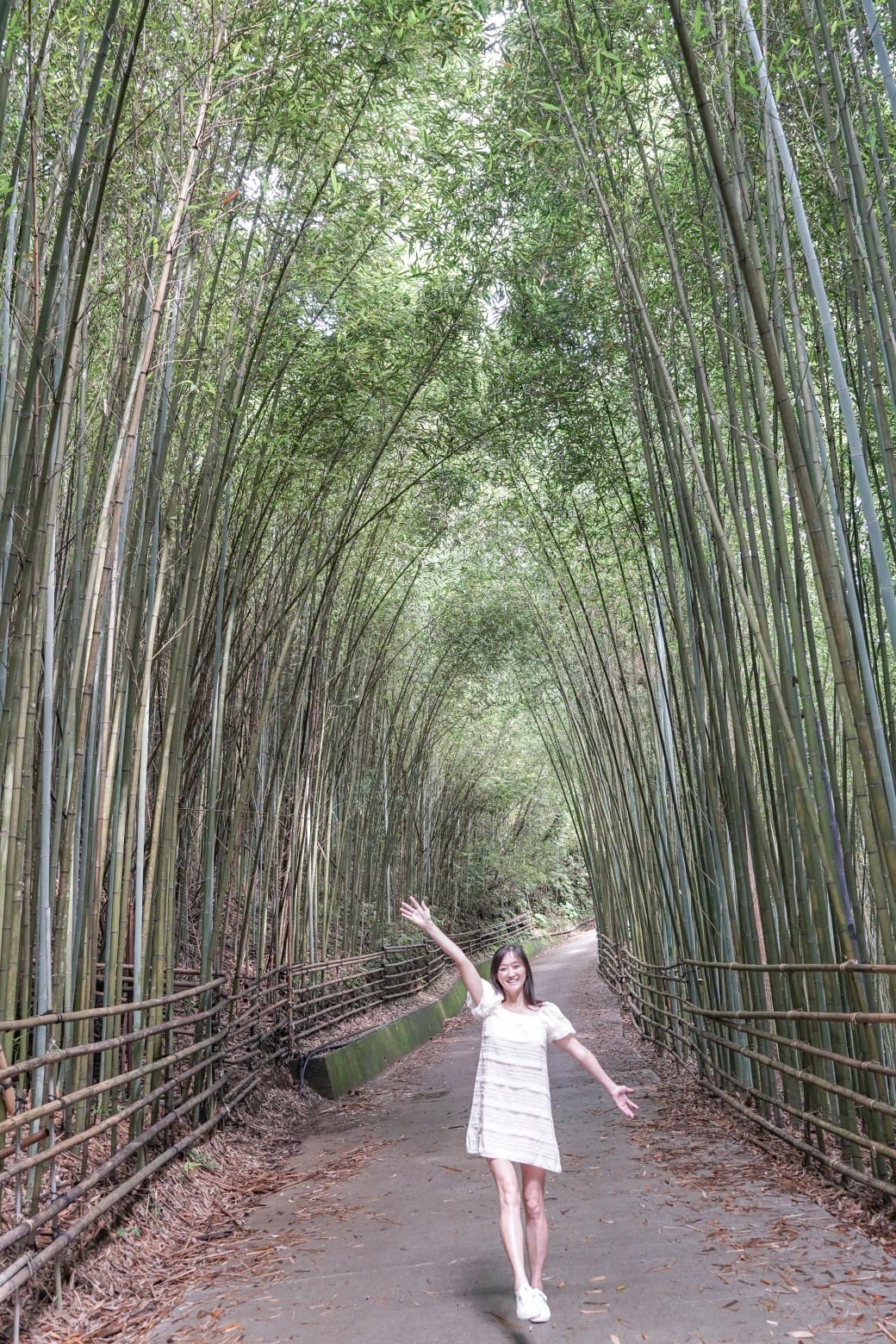 苗栗泰安竹林秘境，苗栗泰安竹林秘境烏嘎彥竹林，秒到日本京都嵐山，停車資訊 @瑪姬幸福過日子