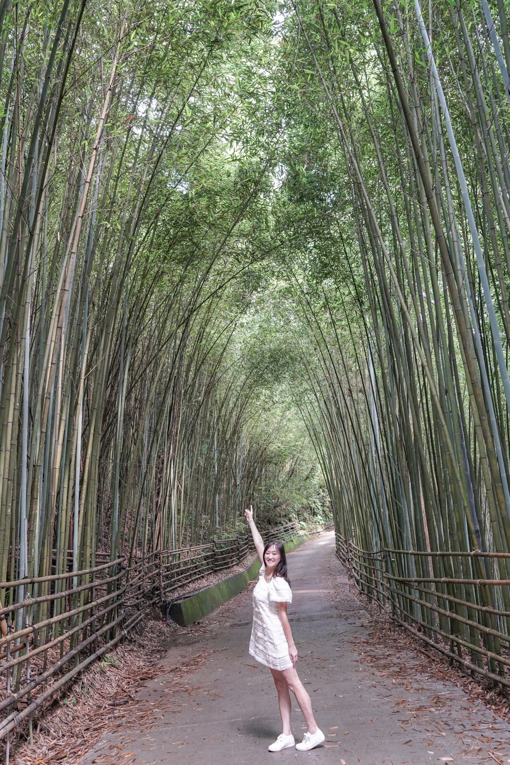 苗栗泰安竹林秘境，苗栗泰安竹林秘境烏嘎彥竹林，秒到日本京都嵐山，停車資訊