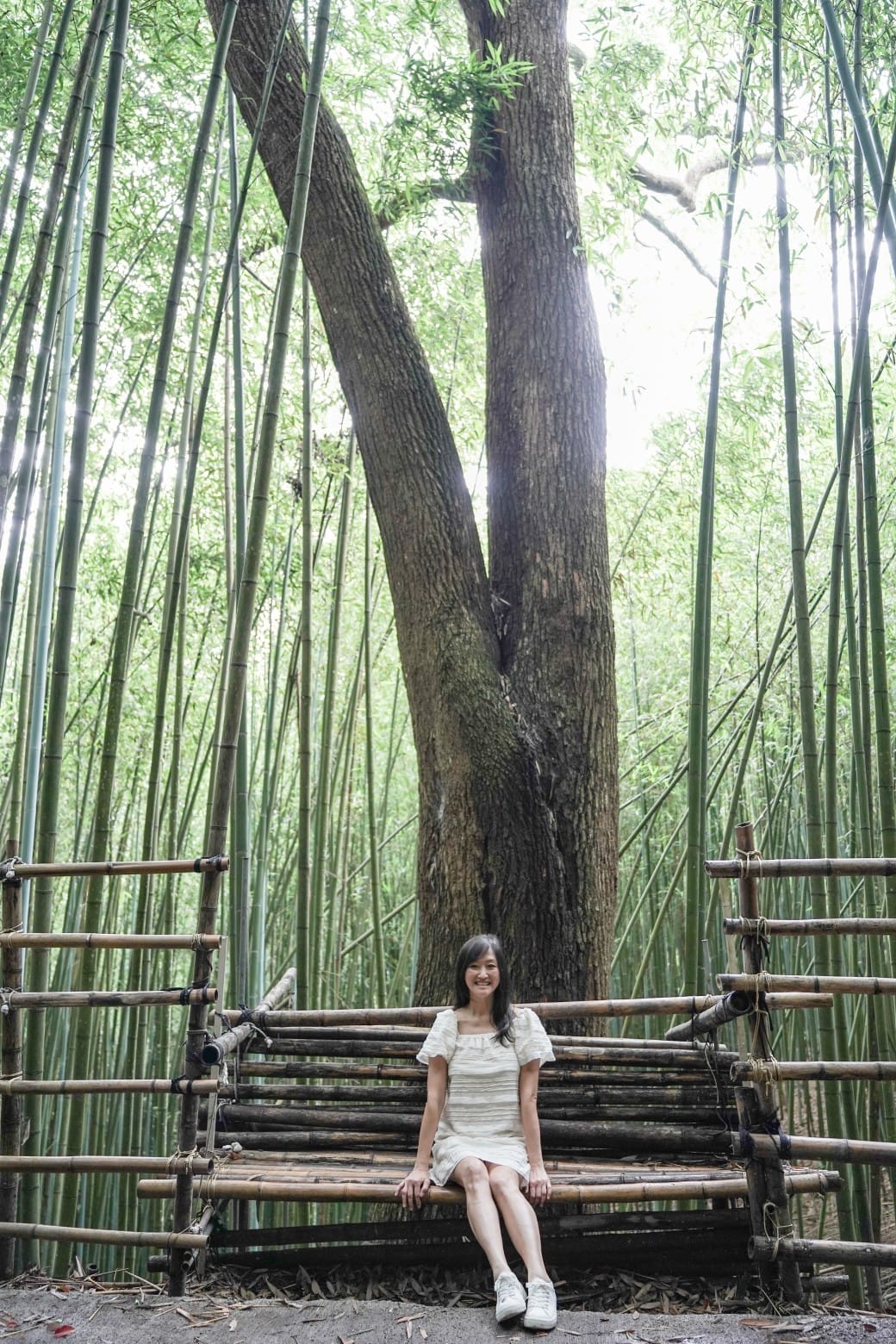 苗栗泰安竹林秘境，苗栗泰安竹林秘境烏嘎彥竹林，秒到日本京都嵐山，停車資訊 @瑪姬幸福過日子