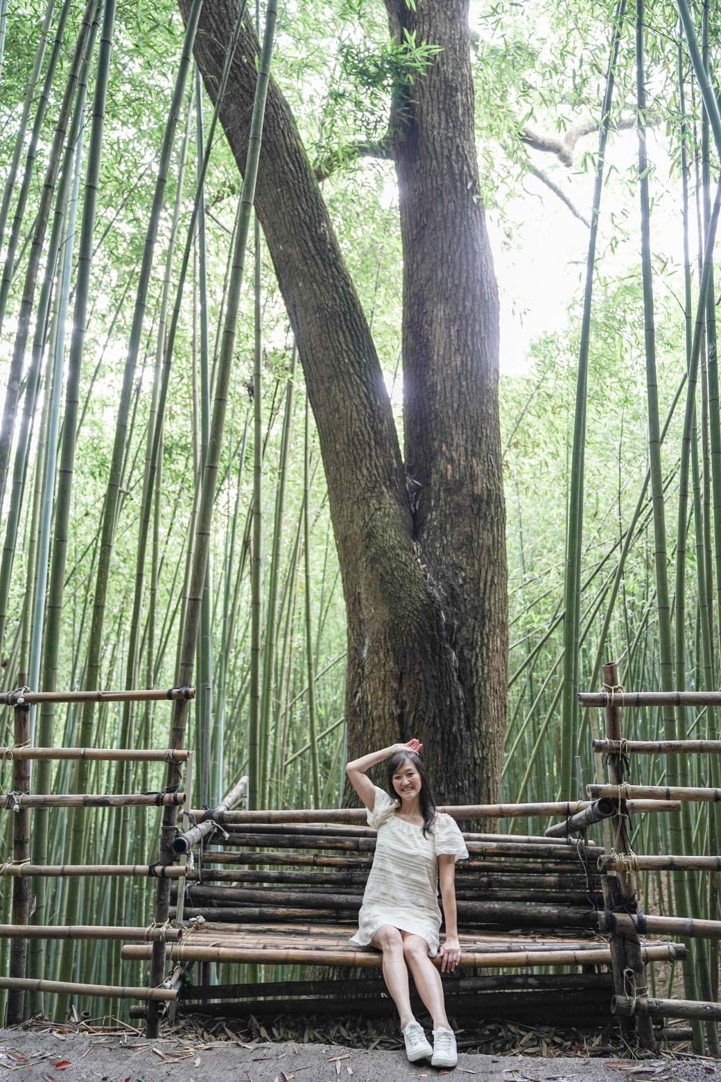 苗栗泰安竹林秘境，苗栗泰安竹林秘境烏嘎彥竹林，秒到日本京都嵐山，停車資訊