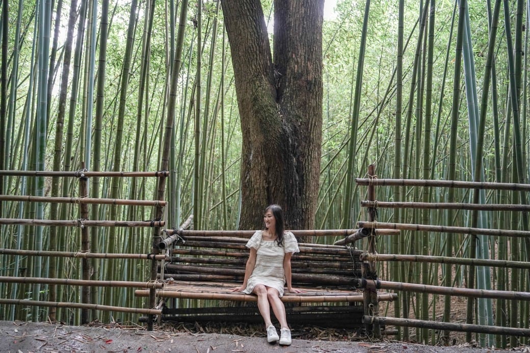 苗栗泰安竹林秘境，苗栗泰安竹林秘境烏嘎彥竹林，秒到日本京都嵐山，停車資訊
