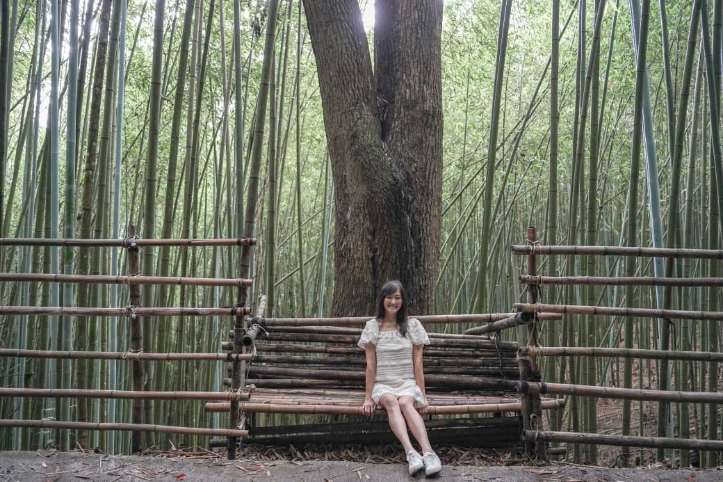 苗栗泰安竹林秘境，苗栗泰安竹林秘境烏嘎彥竹林，秒到日本京都嵐山，停車資訊