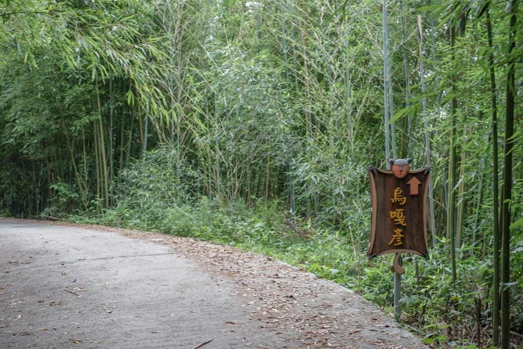 苗栗泰安竹林秘境，苗栗泰安竹林秘境烏嘎彥竹林，秒到日本京都嵐山，停車資訊