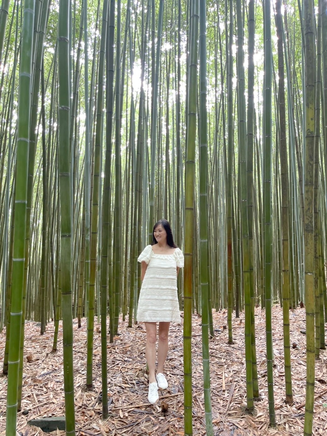 苗栗泰安竹林秘境，苗栗泰安竹林秘境烏嘎彥竹林，秒到日本京都嵐山，停車資訊