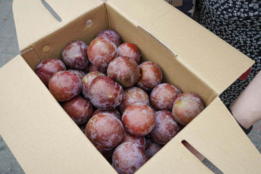 苗栗泰安清安洗水坑豆腐街，喝桂竹筍湯，黑白臭豆腐，買花生，紅肉李，還有早古味客家美食，苗栗一日遊推薦