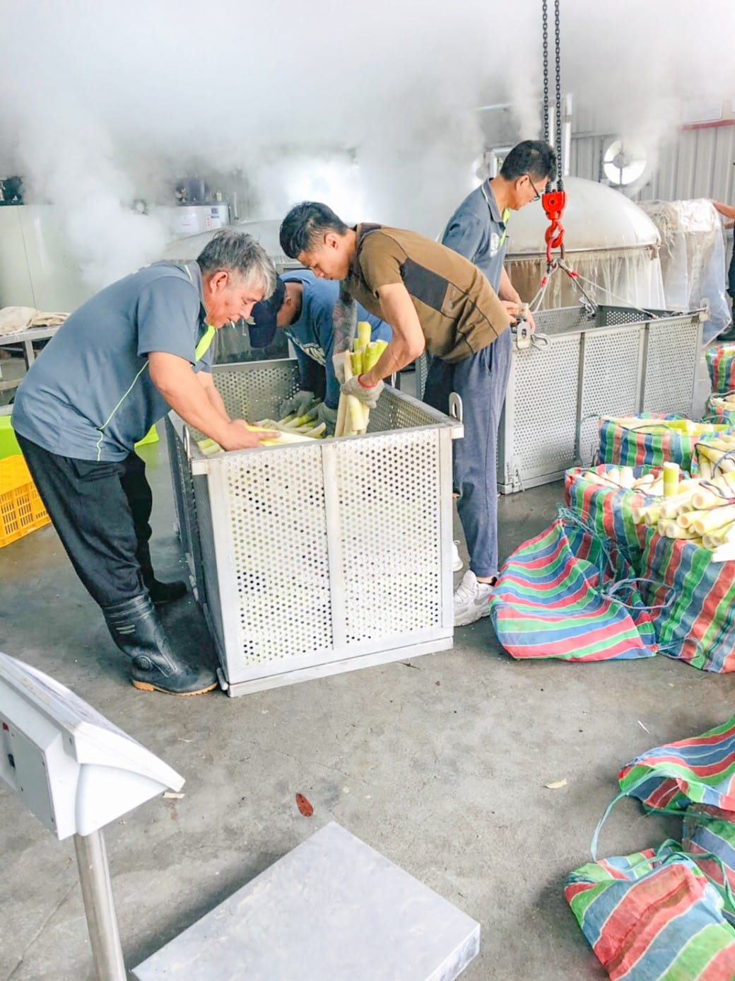 苗栗泰安桂竹筍加工站一日遊，天然無污染的桂竹筍，採收製作生筍到熟筍，一起來支持台灣農民
