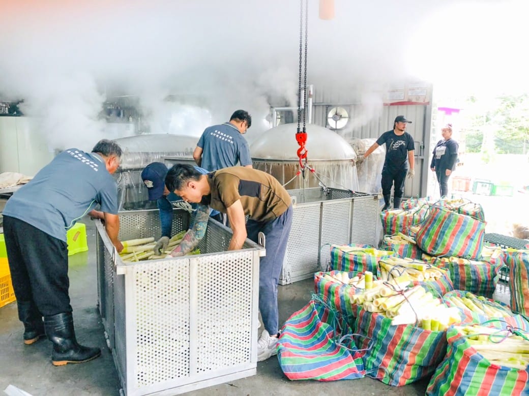 苗栗泰安桂竹筍加工站一日遊，天然無污染的桂竹筍，採收製作生筍到熟筍，一起來支持台灣農民 @瑪姬幸福過日子