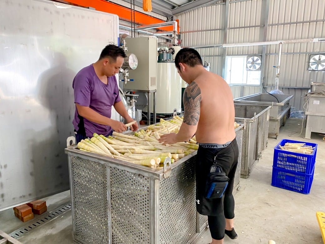 苗栗泰安桂竹筍加工站一日遊，天然無污染的桂竹筍，採收製作生筍到熟筍，一起來支持台灣農民