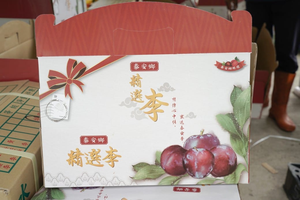苗栗泰安紅肉李，部落小農自產自銷，高海拔自然生態栽種，紅肉李連皮帶肉都超好吃的！