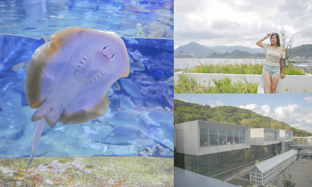基隆親子景點|基隆潮境智能海洋館攻略,超強超大水族缸,門票優惠! - 第1張圖 基隆親子景點|基隆潮境智能海洋館攻略,超強超大水族缸,門票優惠!