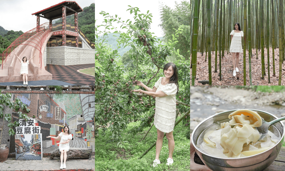 苗栗泰安清安洗水坑豆腐街，喝桂竹筍湯，黑白臭豆腐，買花生，紅肉李，還有早古味客家美食，苗栗一日遊推薦