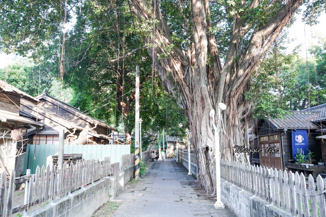 雲林斗六警察舊宿舍群,老屋控必遊,日治時期昭和建築,喝咖啡拍老屋,雲林斗六一日遊! - 第24張圖 雲林斗六警察舊宿舍群,老屋控必遊,日治時期昭和建築,喝咖啡拍老屋,雲林斗六一日遊!