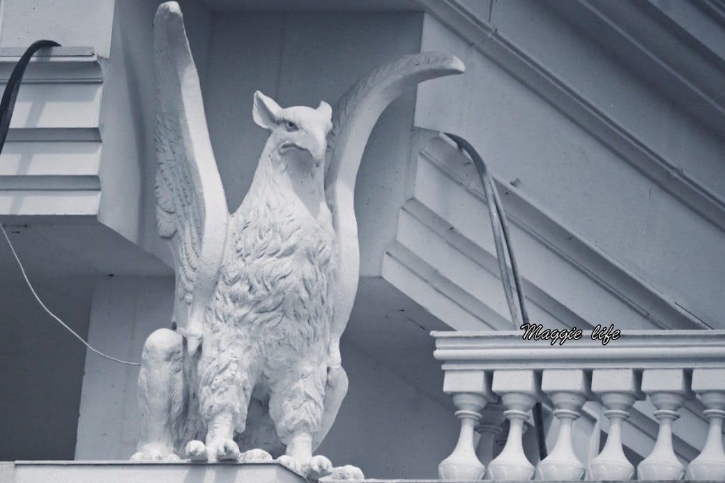 嘉義蓋婭莊園GAIA MANOR｜蓋婭莊園交通餐廳DIY完整介紹