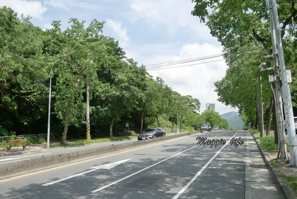 內湖白鷺鷥山親山步道 ，內湖大湖公園旁的森林步道秘境，搭捷運就可以到了直接進入小森林，內湖森林系一日遊