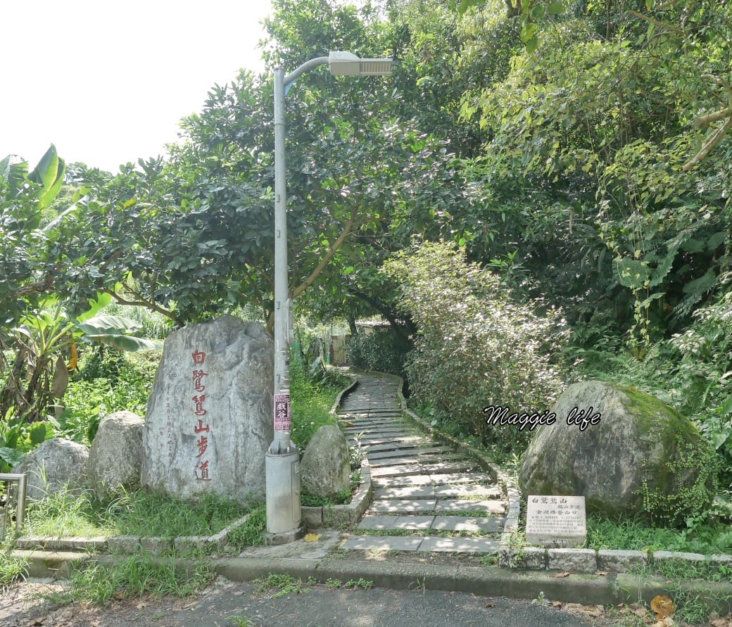 內湖白鷺鷥山親山步道 ，內湖大湖公園旁的森林步道秘境，搭捷運就可以到了直接進入小森林，內湖森林系一日遊