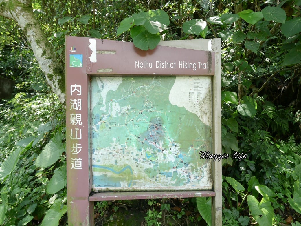 內湖白鷺鷥山親山步道 ，內湖大湖公園旁的森林步道秘境，搭捷運就可以到了直接進入小森林，內湖森林系一日遊