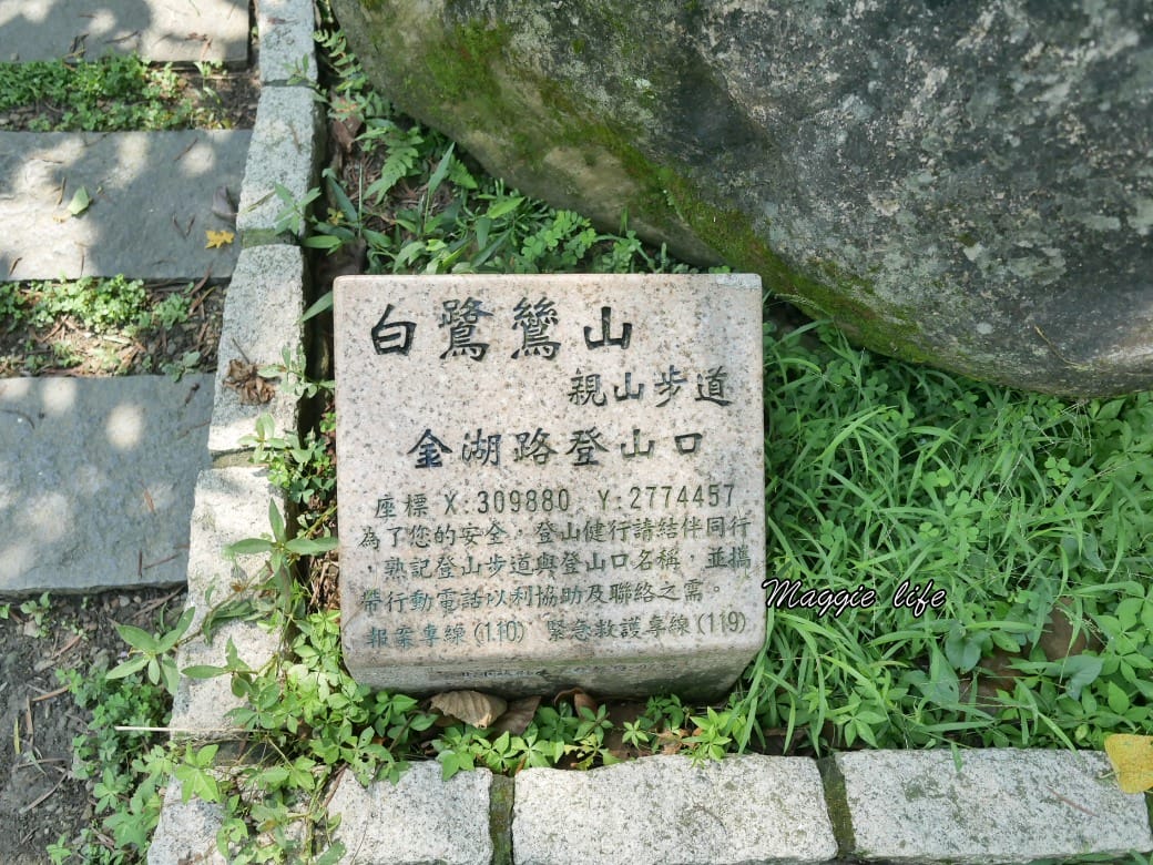 內湖白鷺鷥山親山步道 ，內湖大湖公園旁的森林步道秘境，搭捷運就可以到了直接進入小森林，內湖森林系一日遊
