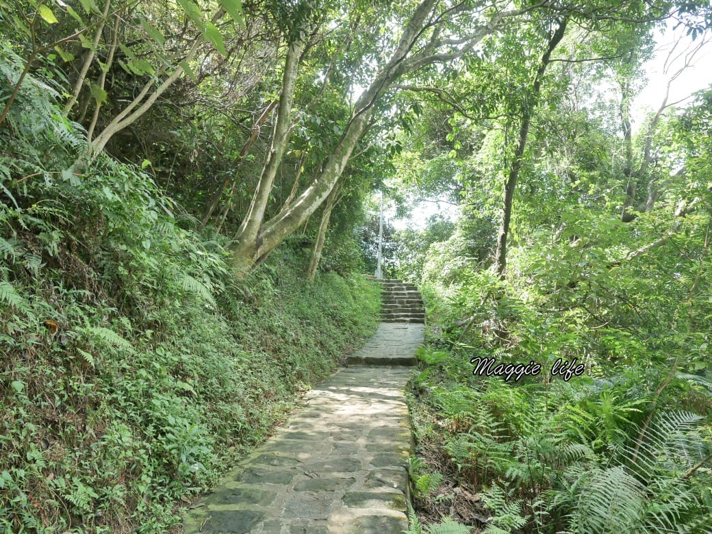 內湖白鷺鷥山親山步道 ，內湖大湖公園旁的森林步道秘境，搭捷運就可以到了直接進入小森林，內湖森林系一日遊