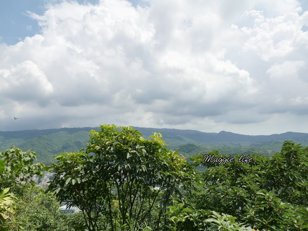 內湖白鷺鷥山親山步道 ，內湖大湖公園旁的森林步道秘境，搭捷運就可以到了直接進入小森林，內湖森林系一日遊