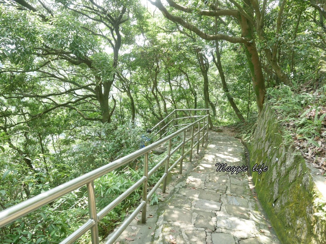 內湖白鷺鷥山親山步道 ，內湖大湖公園旁的森林步道秘境，搭捷運就可以到了直接進入小森林，內湖森林系一日遊