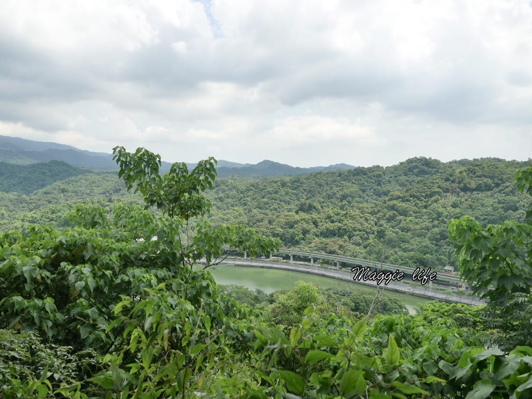 內湖白鷺鷥山親山步道 ，內湖大湖公園旁的森林步道秘境，搭捷運就可以到了直接進入小森林，內湖森林系一日遊