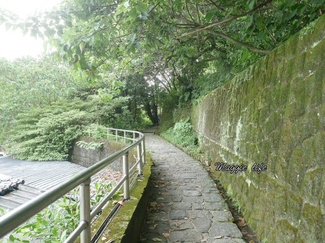 內湖白鷺鷥山親山步道 ，內湖大湖公園旁的森林步道秘境，搭捷運就可以到了直接進入小森林，內湖森林系一日遊