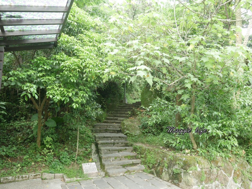 內湖白鷺鷥山親山步道 ，內湖大湖公園旁的森林步道秘境，搭捷運就可以到了直接進入小森林，內湖森林系一日遊