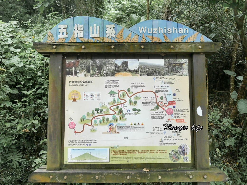 內湖白鷺鷥山親山步道 ，內湖大湖公園旁的森林步道秘境，搭捷運就可以到了直接進入小森林，內湖森林系一日遊