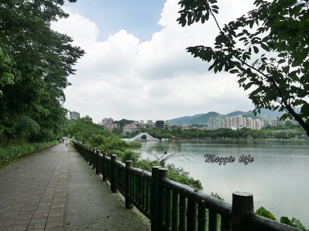 內湖白鷺鷥山親山步道 ，內湖大湖公園旁的森林步道秘境，搭捷運就可以到了直接進入小森林，內湖森林系一日遊