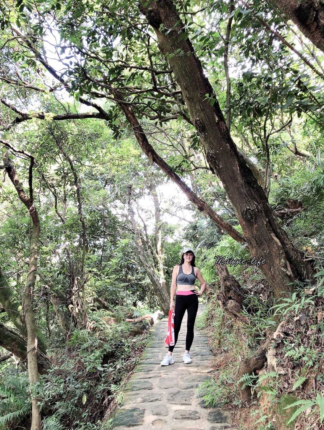 內湖白鷺鷥山親山步道 ，內湖大湖公園旁的森林步道秘境，搭捷運就可以到了直接進入小森林，內湖森林系一日遊