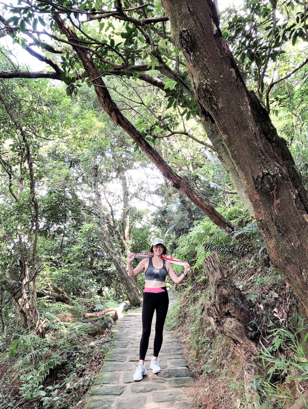 內湖白鷺鷥山親山步道 ，內湖大湖公園旁的森林步道秘境，搭捷運就可以到了直接進入小森林，內湖森林系一日遊