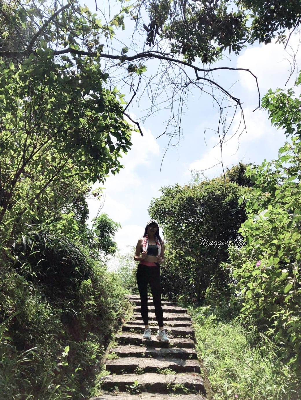 內湖白鷺鷥山親山步道 ，內湖大湖公園旁的森林步道秘境，搭捷運就可以到了直接進入小森林，內湖森林系一日遊