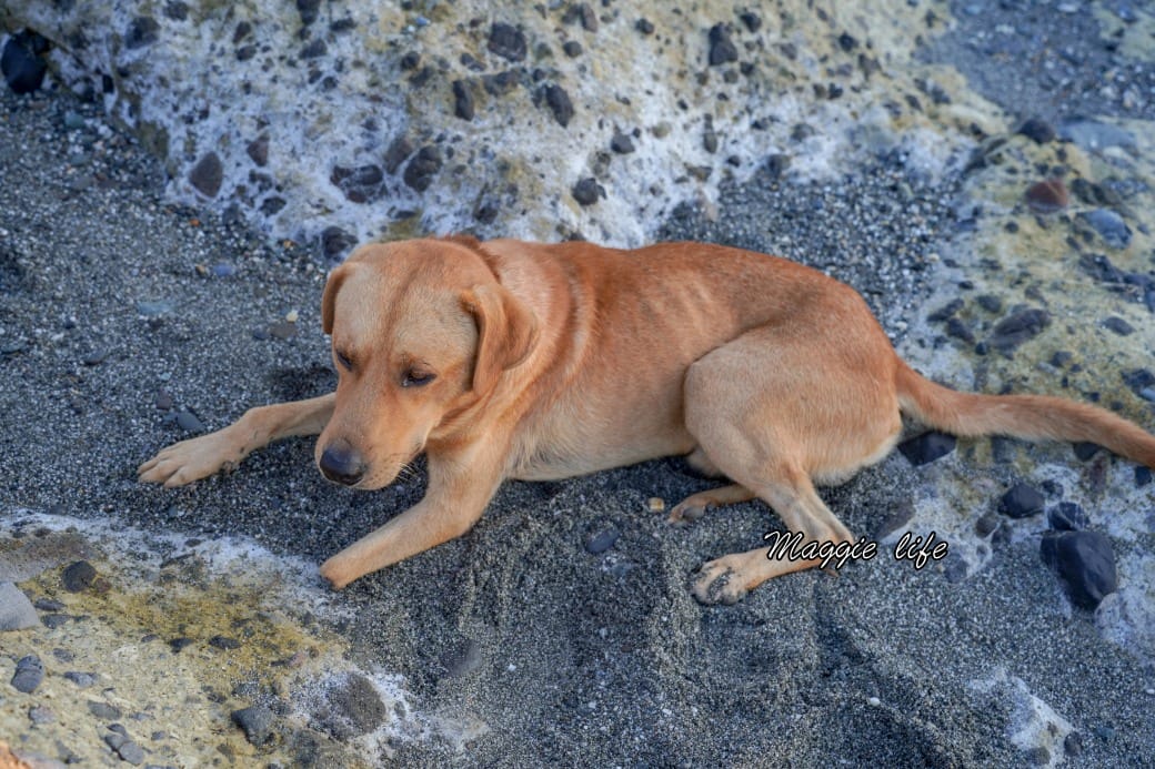 千禧山莊｜花蓮面海景觀民宿，早上看日出，晚上看星星，還有中式自助早餐