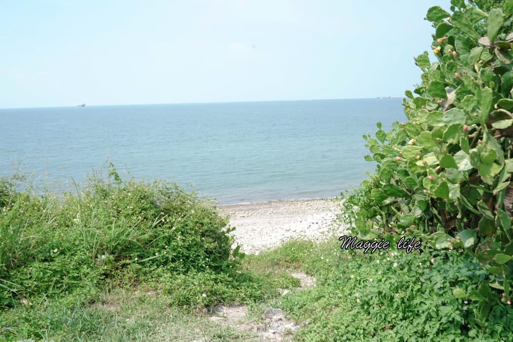 藍色公路海景咖啡館｜新北林口海景第一排面海咖啡廳，無敵海景療癒到爆炸