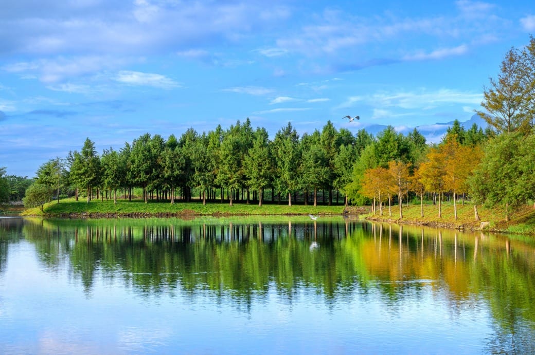花蓮a2水岸園區，星巴克花蓮理想門市，全國唯一童話森林星巴克超夢幻，試營運期間免費入園