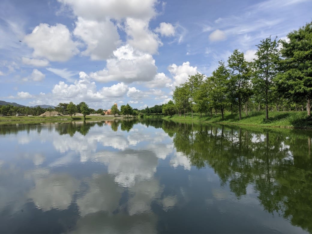 花蓮a2水岸園區，星巴克花蓮理想門市，全國唯一童話森林星巴克超夢幻，試營運期間免費入園
