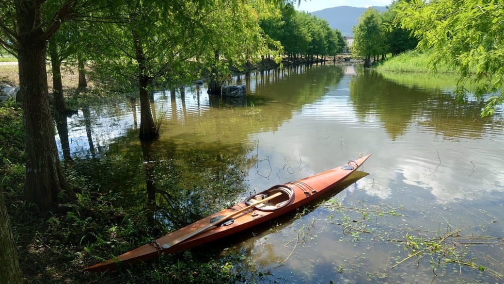 花蓮a2水岸園區，星巴克花蓮理想門市，全國唯一童話森林星巴克超夢幻，試營運期間免費入園