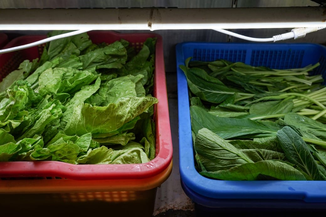 南港皇冠涮涮鍋，只要280不含服務費就有自助吧吃到飽飲料喝到飽，有機蔬菜還有滷味麵包蛋糕吃到飽