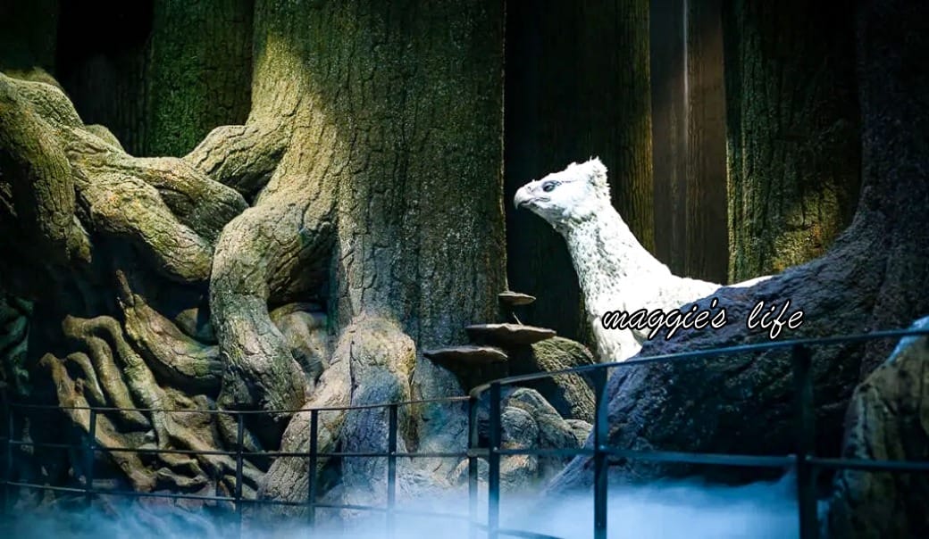 東京華納兄弟哈利波特影城一日遊攻略,2024優惠門票,預約時間,交通,必拍場景 - 第47張圖 東京華納兄弟哈利波特影城一日遊攻略,2024優惠門票,預約時間,交通,必拍場景