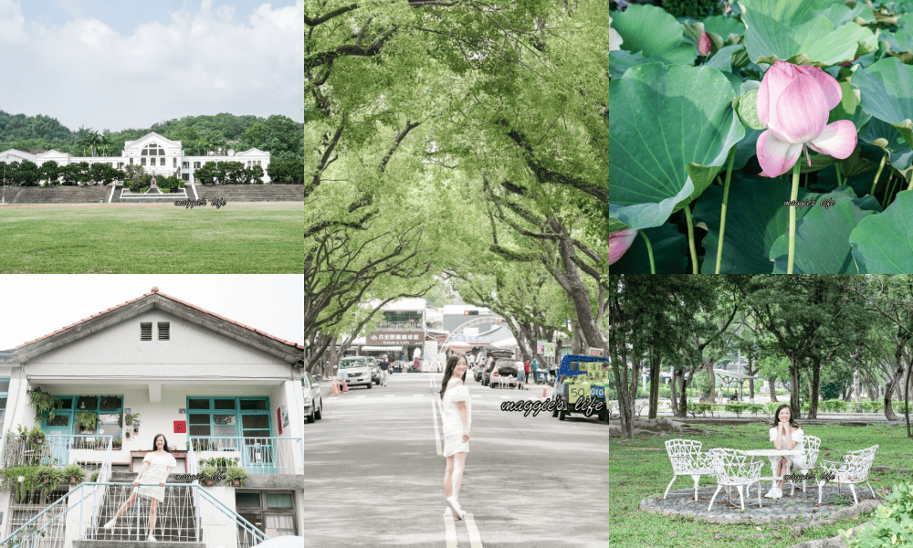 南投中興新村一日遊｜17個拍照景點攻略，綠色隧道，文創，美食，咖啡