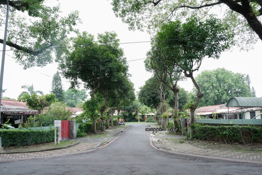 南投中興新村一日遊｜17個拍照景點攻略，綠色隧道，文創，美食，咖啡