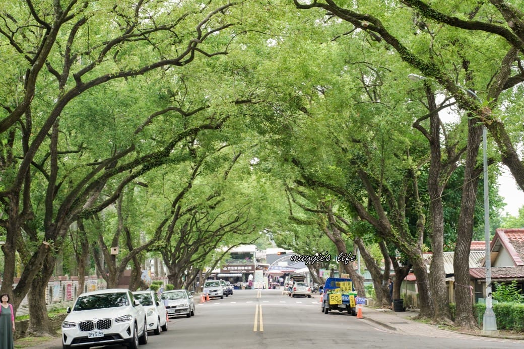 南投中興新村一日遊｜17個拍照景點攻略，綠色隧道，文創，美食，咖啡