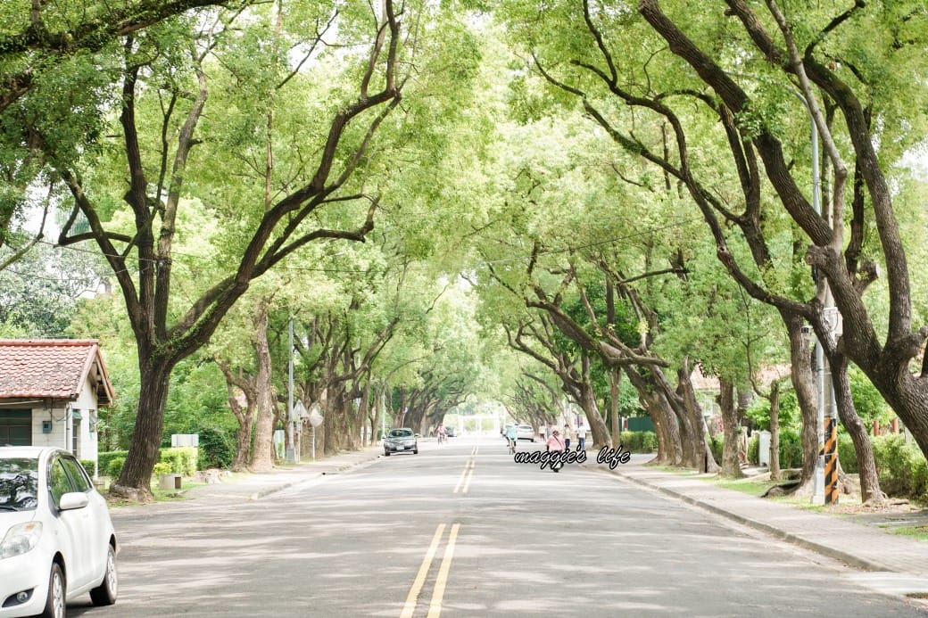 南投中興新村一日遊｜17個拍照景點攻略，綠色隧道，文創，美食，咖啡