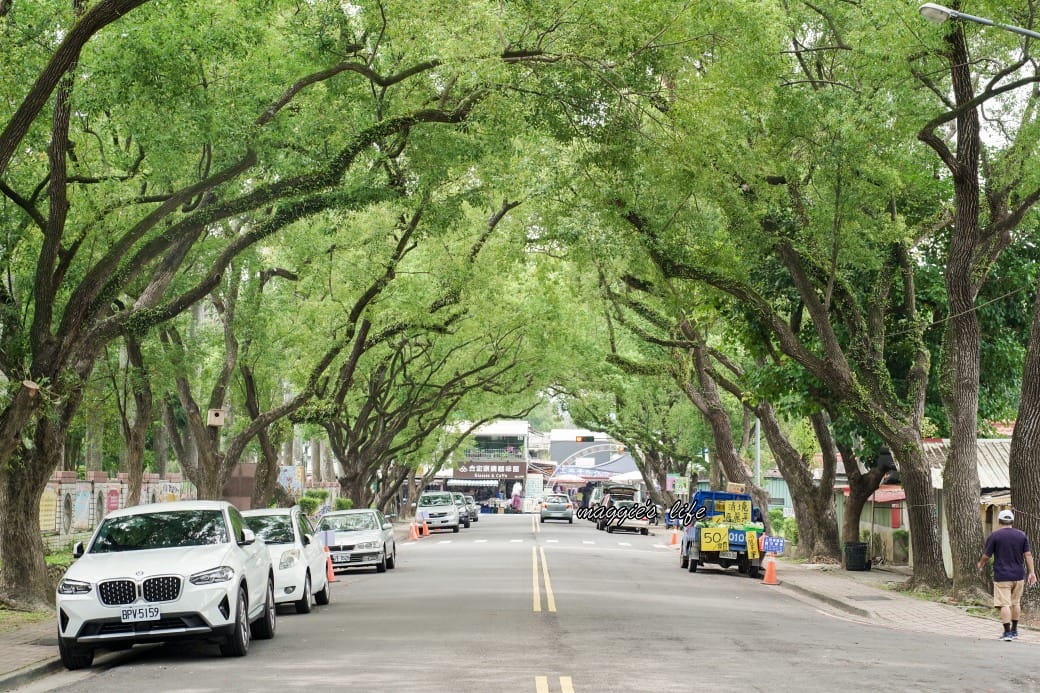 南投中興新村一日遊｜17個拍照景點攻略，綠色隧道，文創，美食，咖啡
